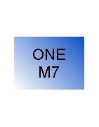 ONE M7